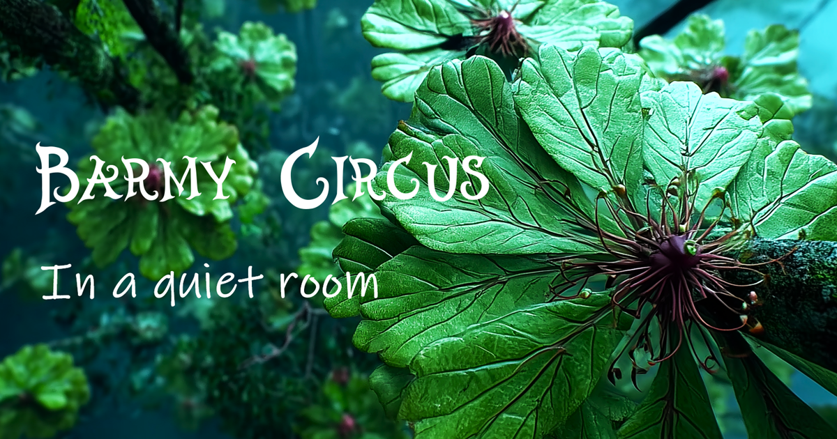 Barmy Circus 1stアルバム『In a quiet room』リリース